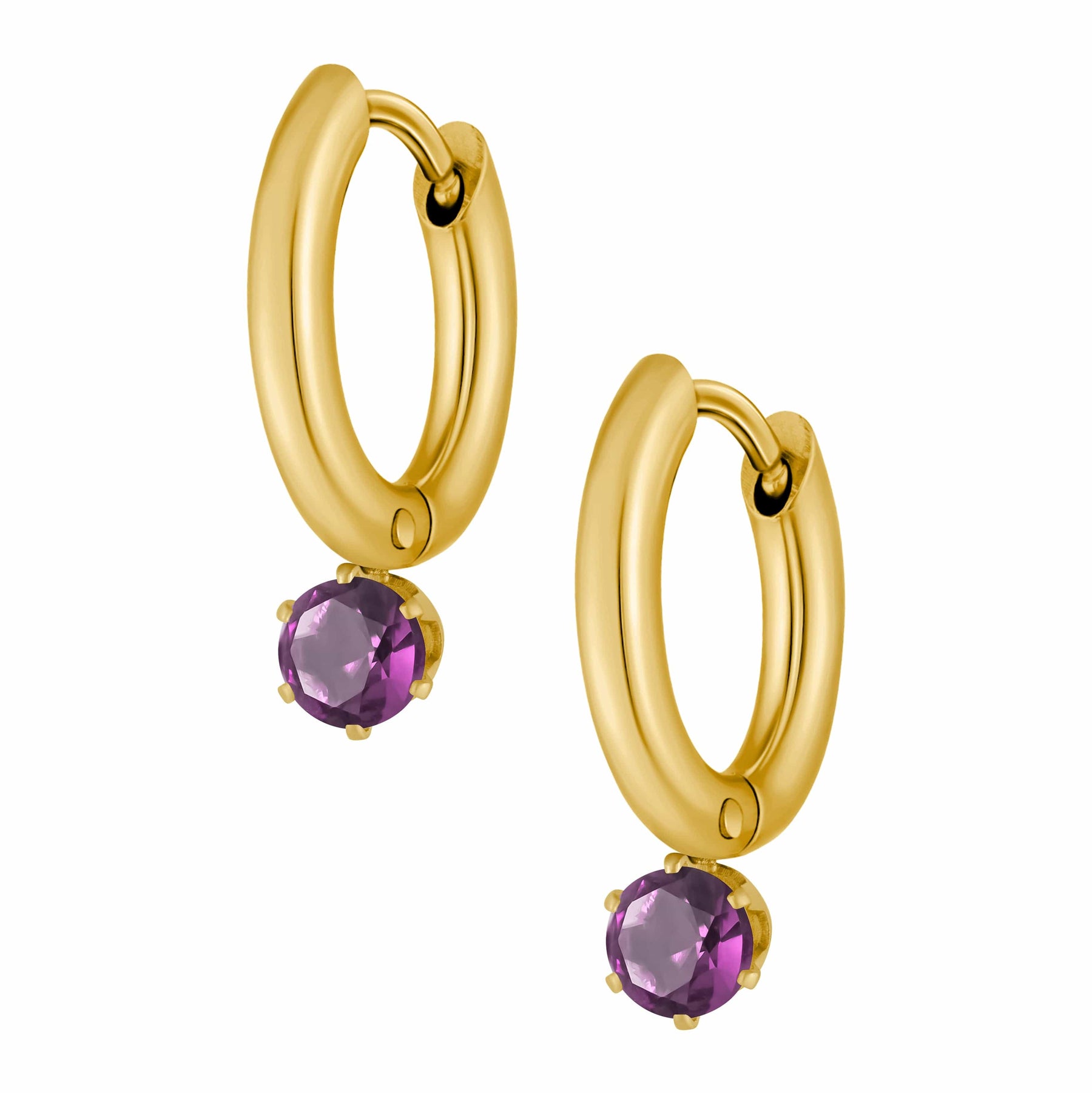 Bohomoon Stainless Steel Forever Birthstone Hoop Earrings