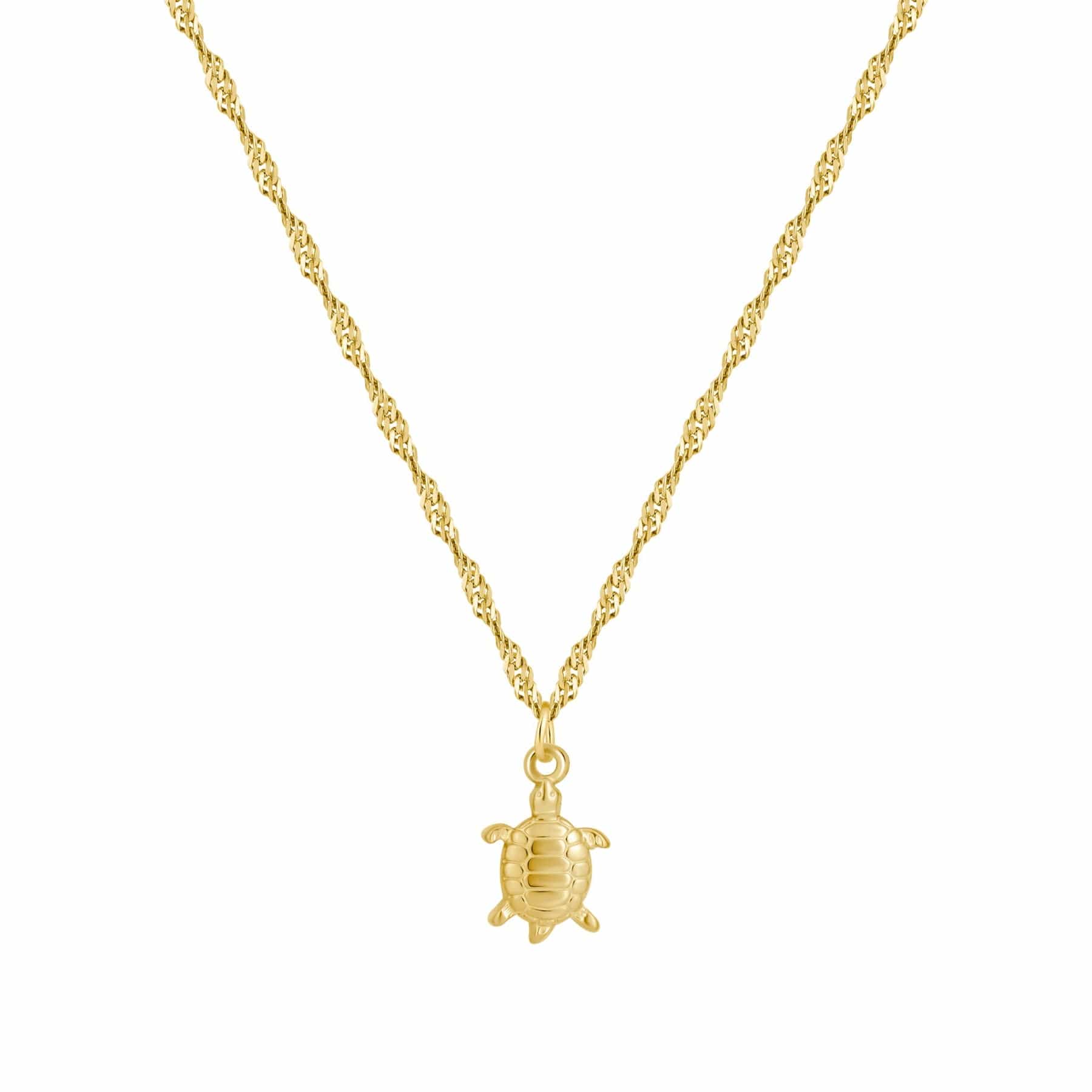 Bohomoon Stainless Steel Mini Turtle Necklace