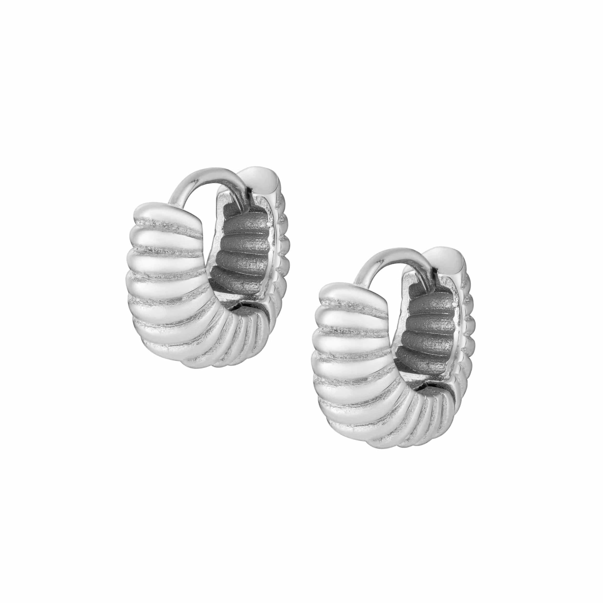 Bohomoon Stainless Steel Clary Hoop Earrings
