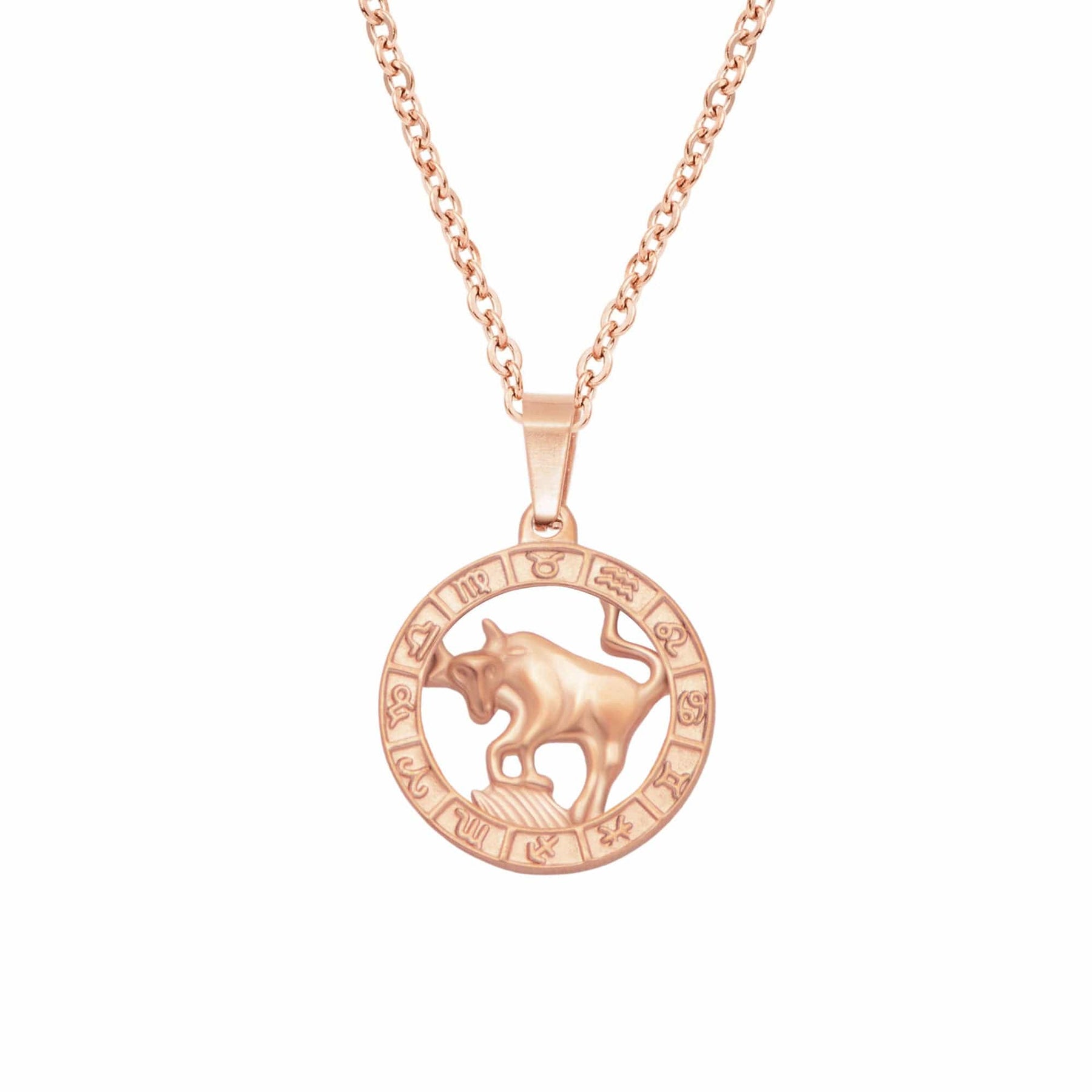 BohoMoon Stainless Steel Classic Zodiac Necklace