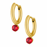 Bohomoon Stainless Steel Forever Birthstone Hoop Earrings
