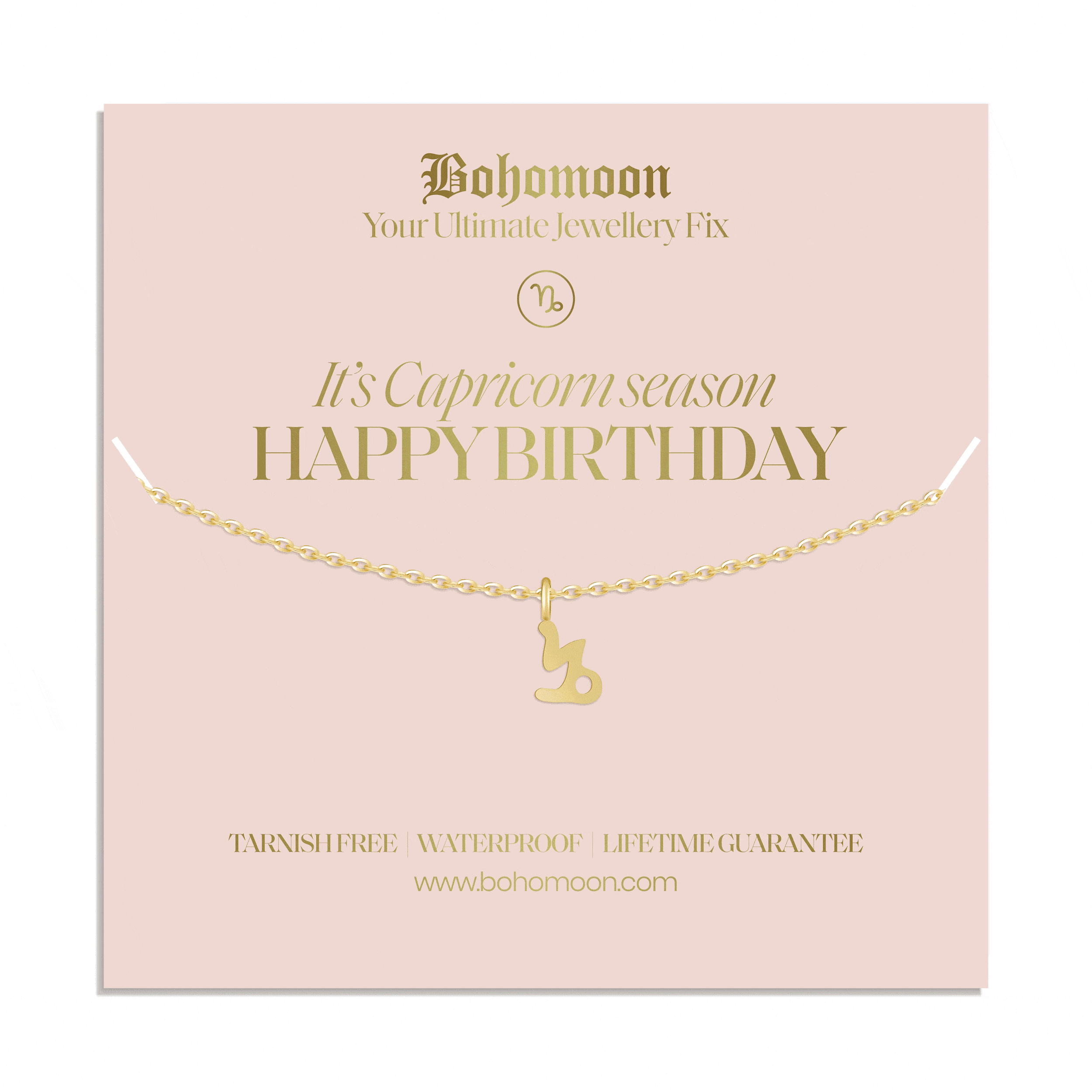 Bohomoon Stainless Steel Happy Birthday Zodiac Necklace