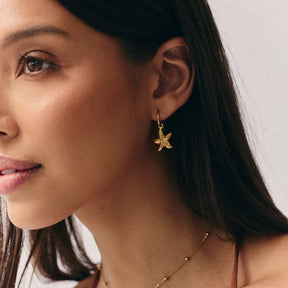 Bohomoon Stainless Steel Pacific Hoop Earrings