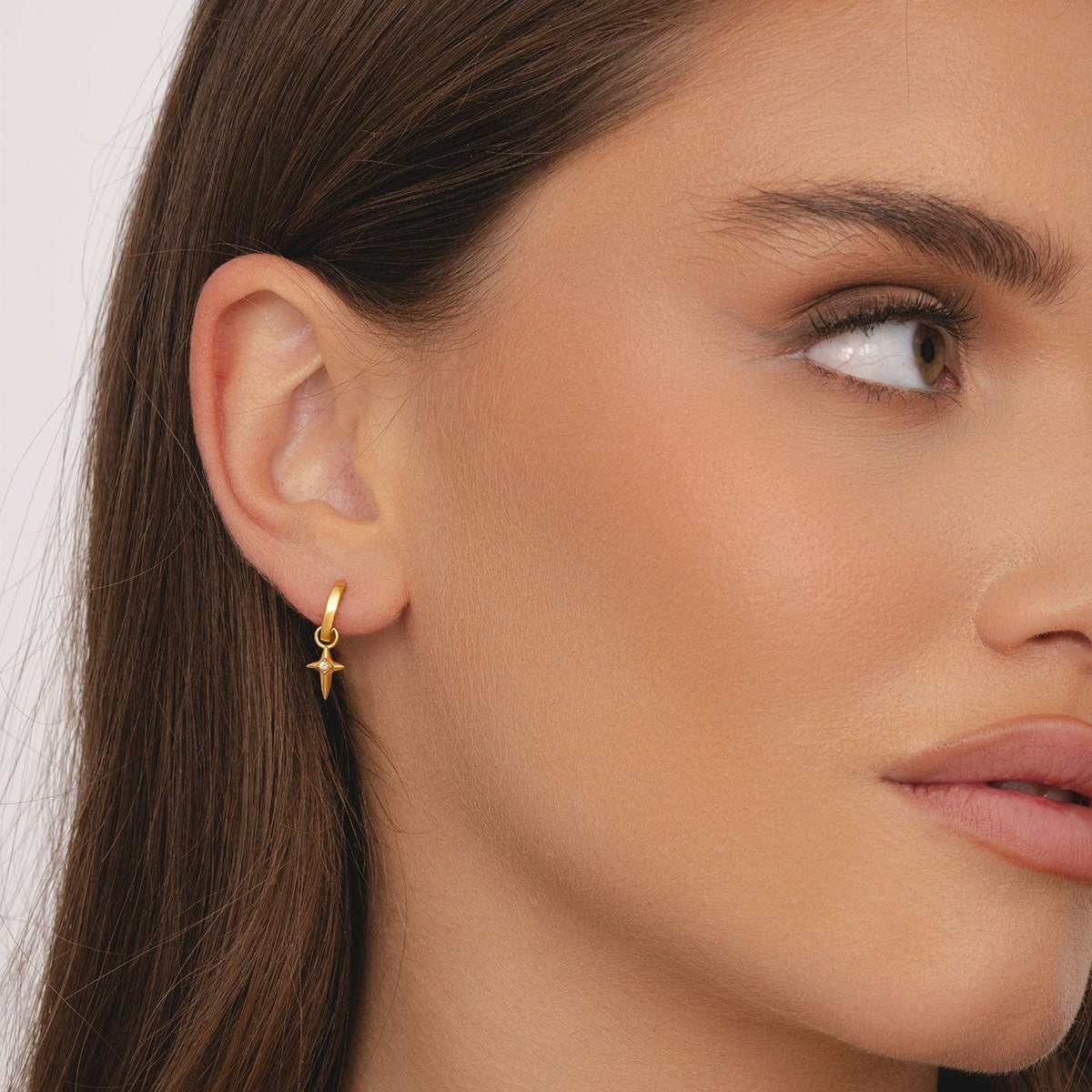 Bohomoon Stainless Steel Passion Hoop Earrings