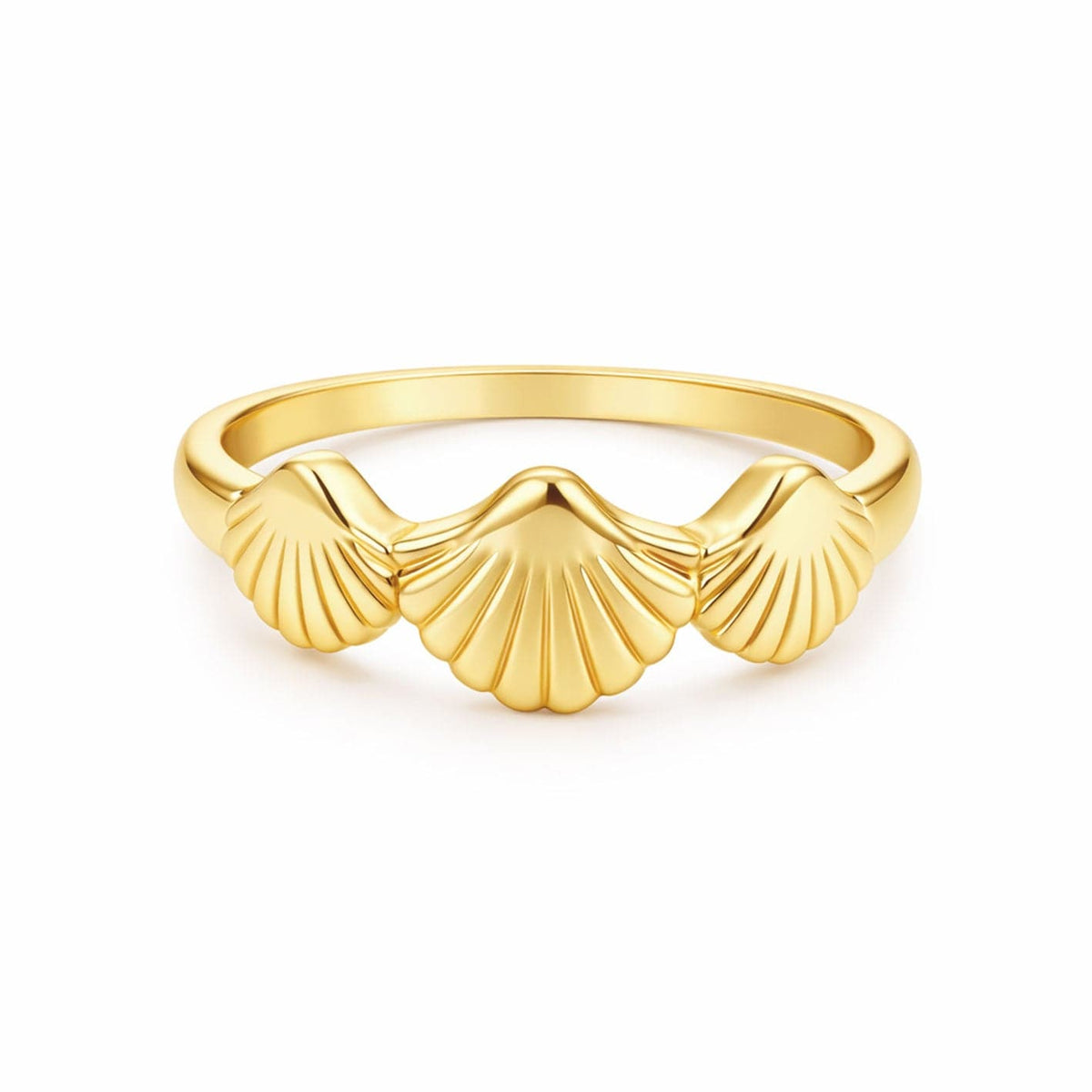 Bohomoon Stainless Steel Shore Shell Ring