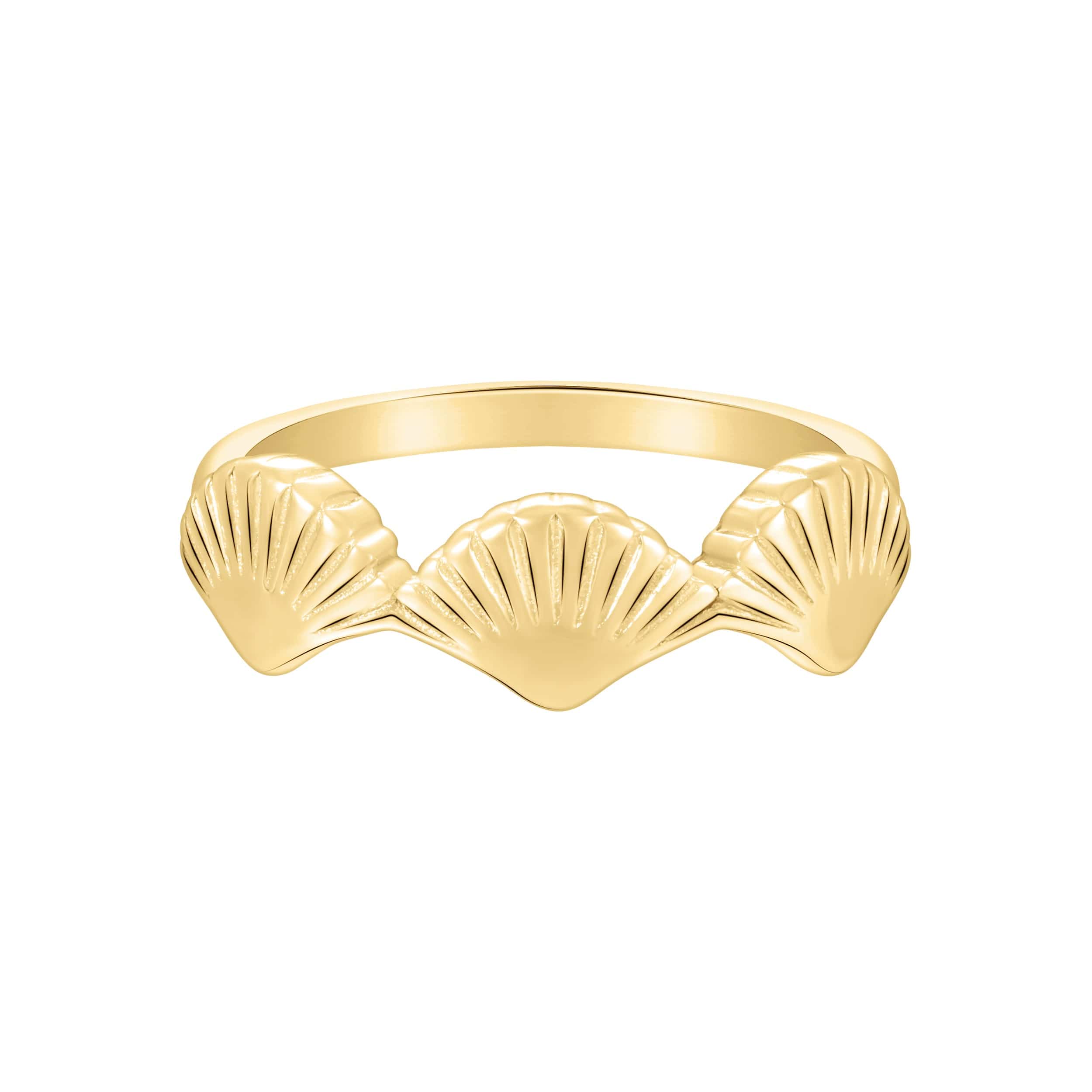 Bohomoon Stainless Steel Shore Shell Ring