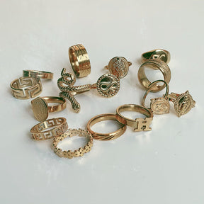 BohoMoon Stainless Steel Snake Charmer Ring